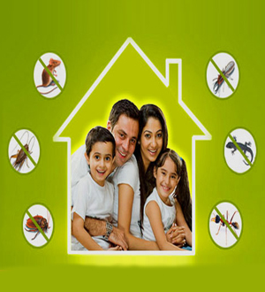 pest control services in thrissur