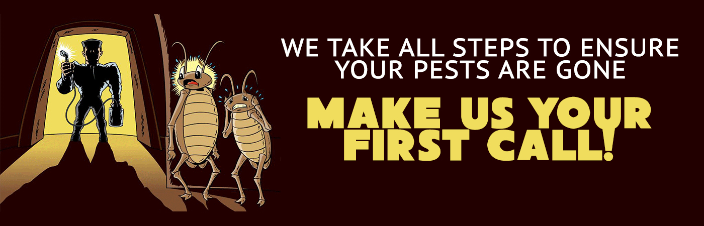 pest control services ernakulam
