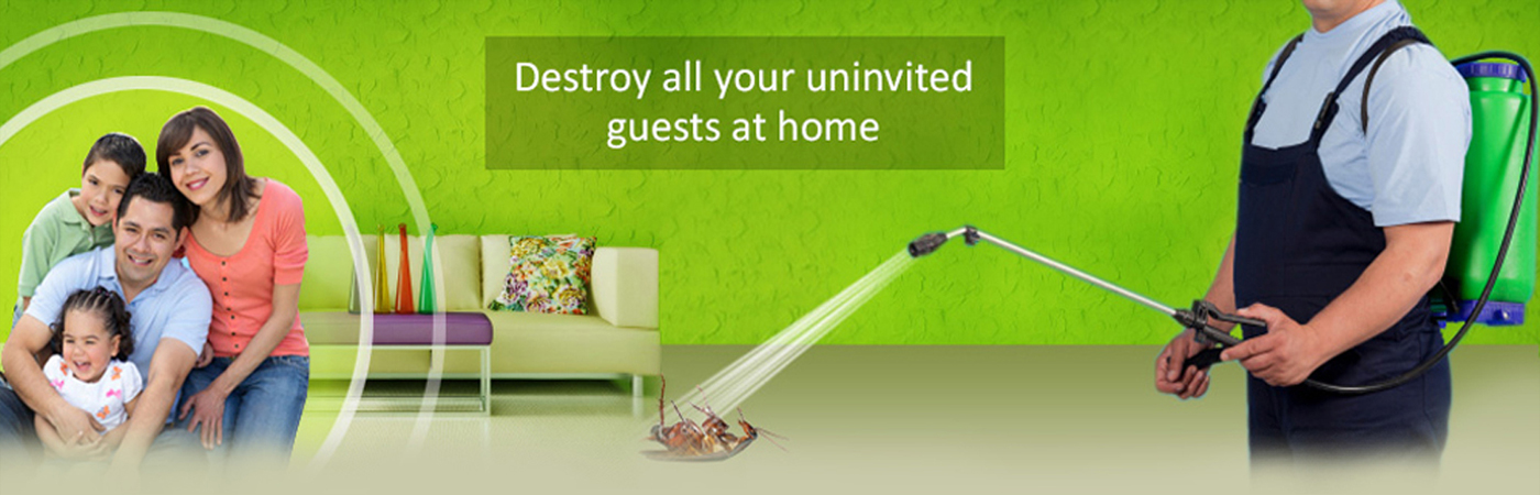 pest control services