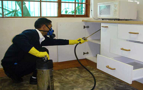 pest control services cochin