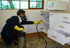 pest control services
