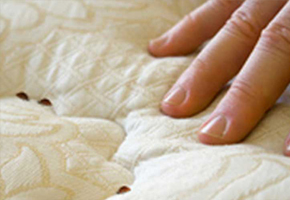 pest control services in thrissur